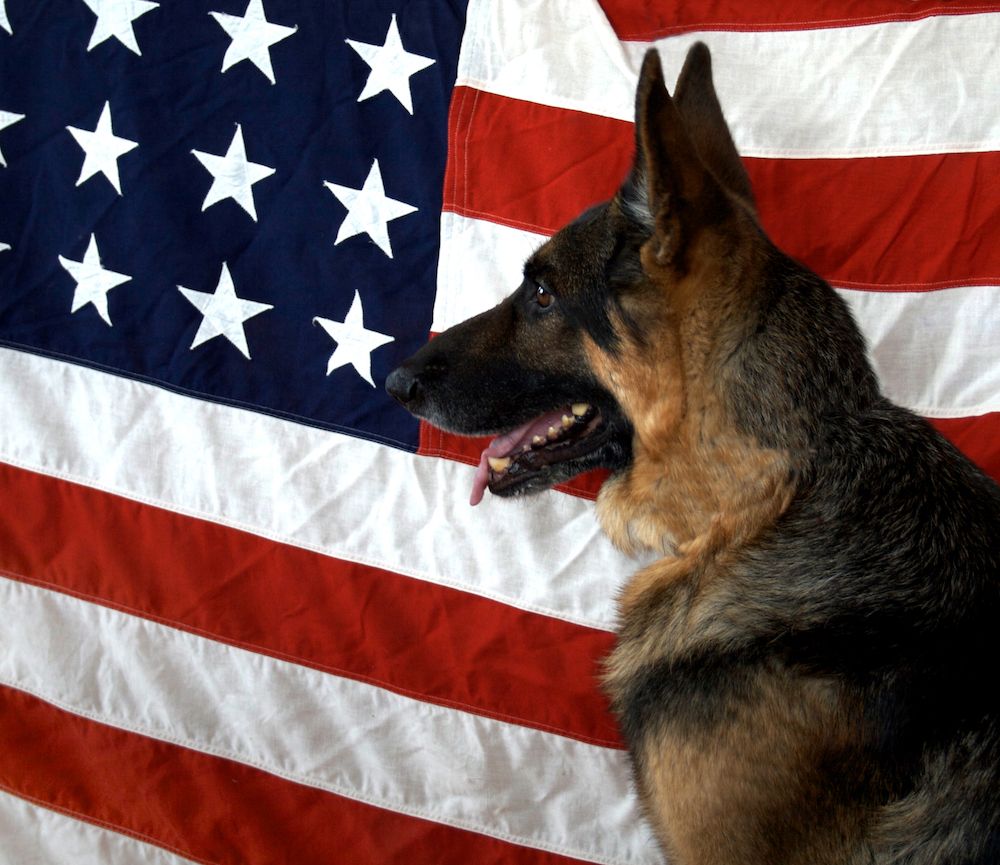 Editorial: December 4, 2020